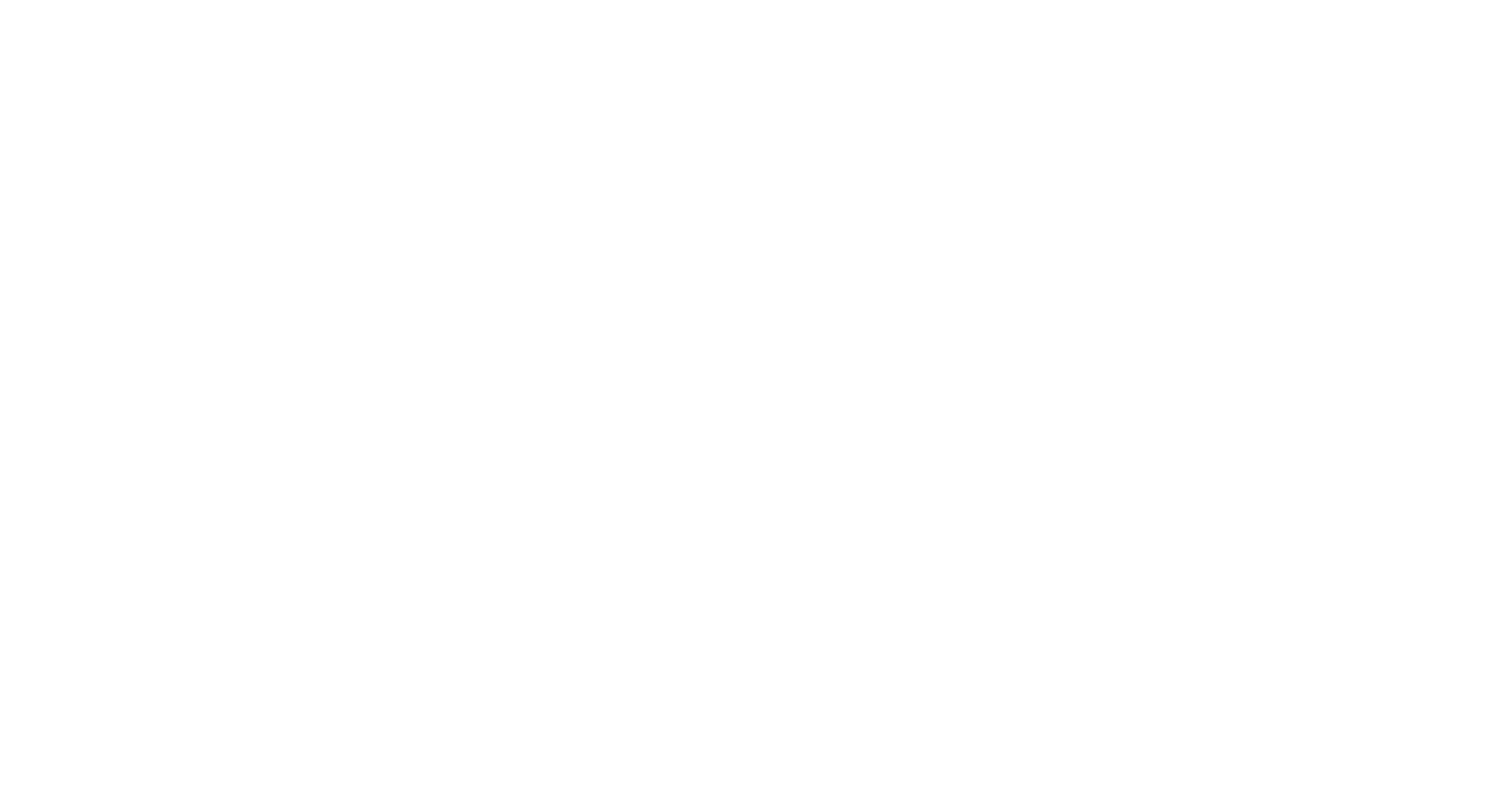 Kaikaku Consulting